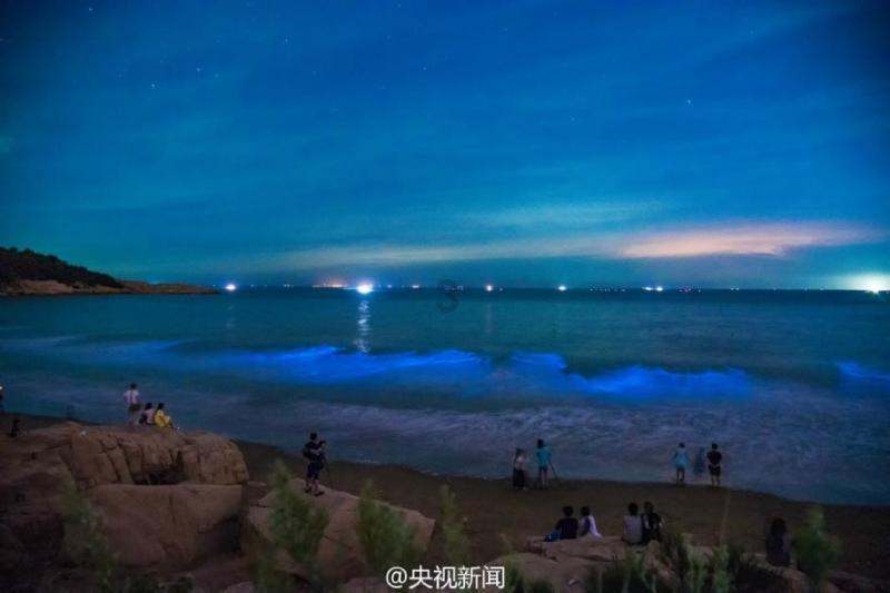 最后生还者2