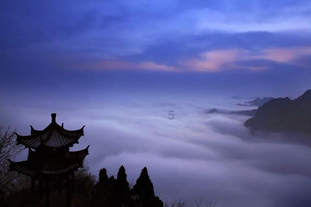 救援小巨鳄