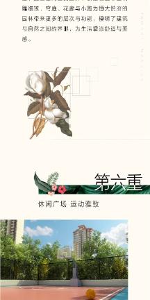 收集星星的高吉