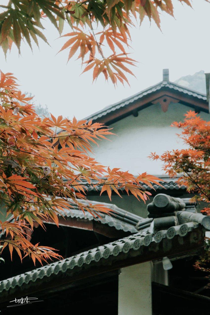 探索神秘小屋6
