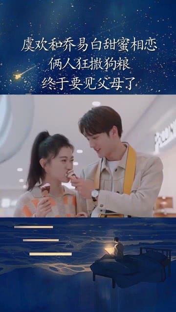 狗狗物品记忆卡