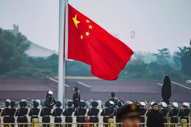 年味渐浓蝴蝶兰成“致富花”