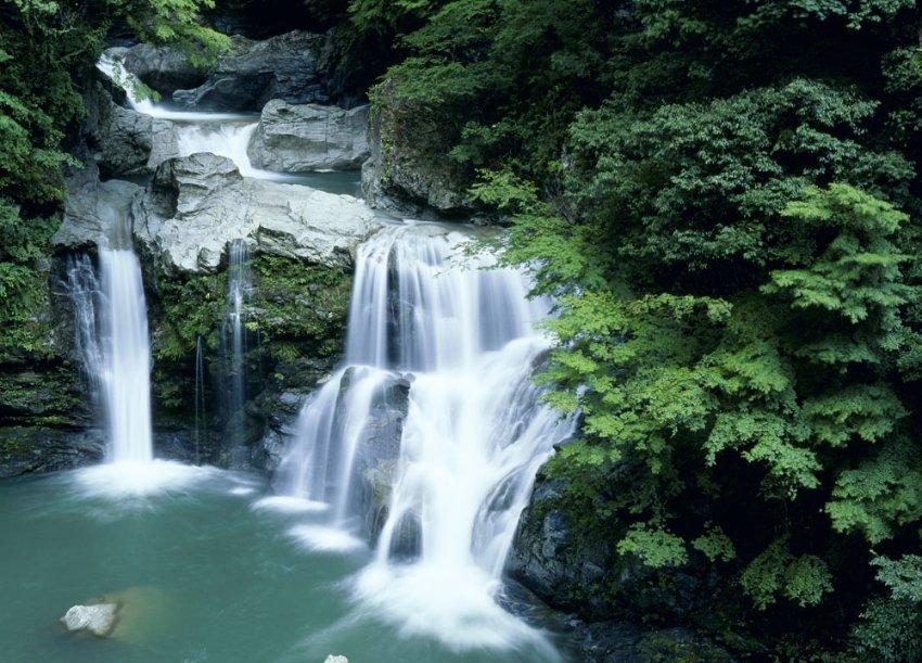 逃离荒废丛林屋